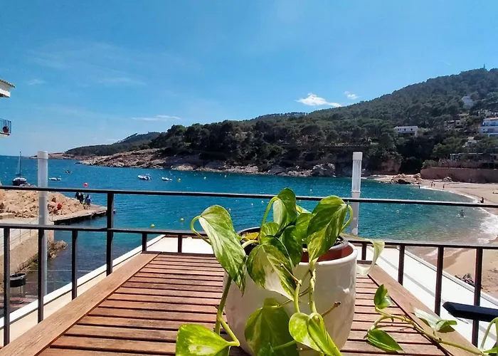 Patxei Apartman Tamariu